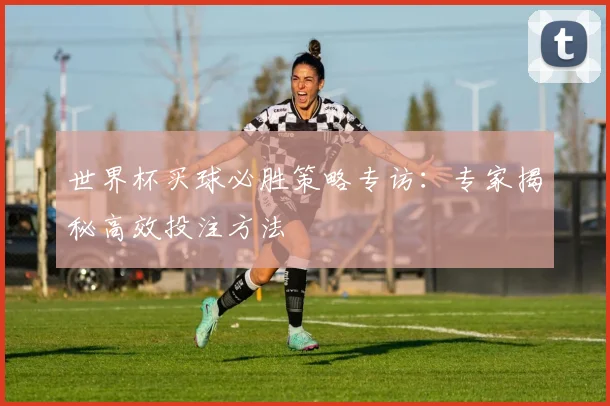 世界杯买球必胜策略专访：专家揭秘高效投注方法