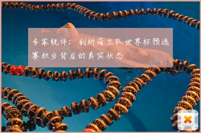 专家锐评:剖析荷兰队世界杯预选赛积分背后的真实状态