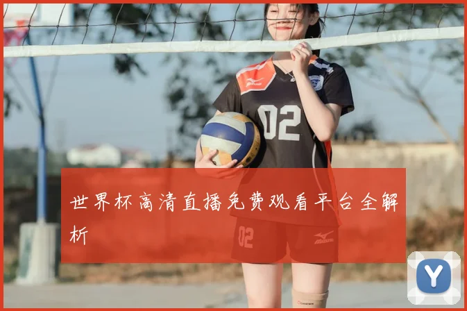 世界杯高清直播免费观看平台全解析