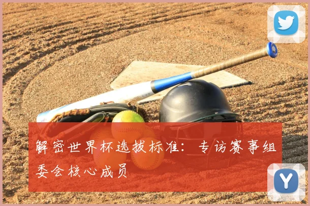 解密世界杯选拔标准：专访赛事组委会核心成员