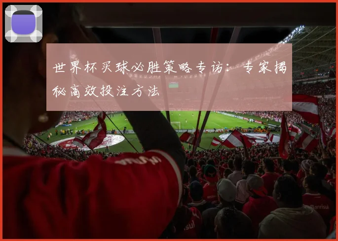 世界杯买球必胜策略专访：专家揭秘高效投注方法
