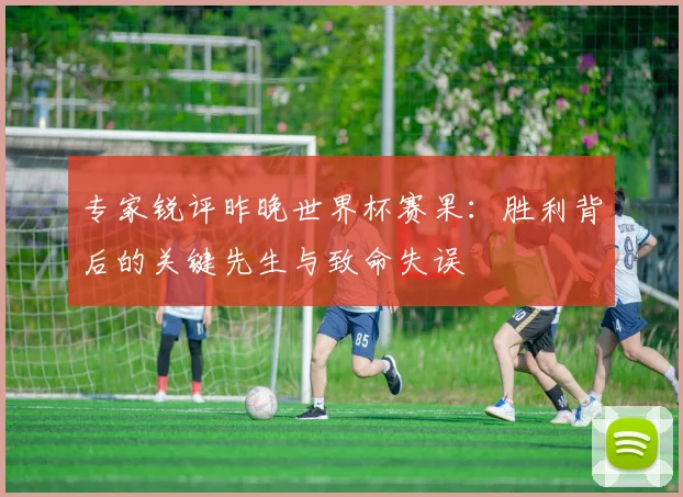 专家锐评昨晚世界杯赛果：胜利背后的关键先生与致命失误