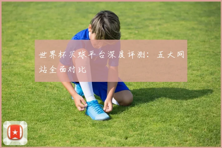 世界杯买球平台深度评测：五大网站全面对比
