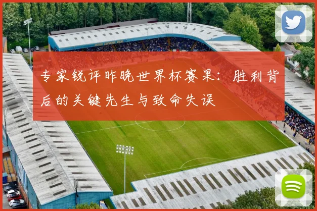 专家锐评昨晚世界杯赛果：胜利背后的关键先生与致命失误