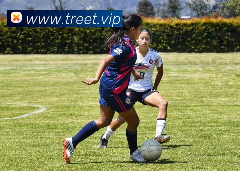 九游体育官网app登录APP 体育赛事宣传图